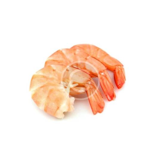 Shrimp